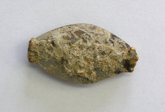 31SCI-WARRIOR2-master675