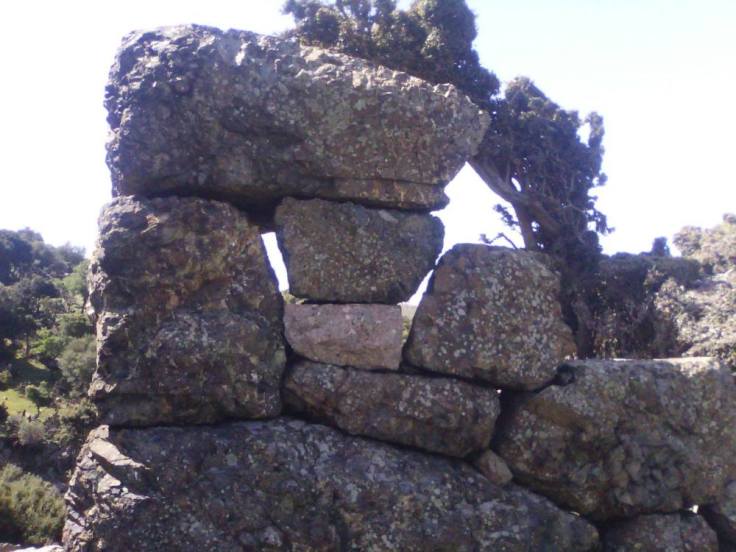 12980828_1710902689186896_237809751_o