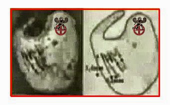 μικρον μινωικον2