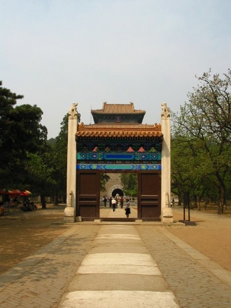 10391723_1281009190408_2651011_n