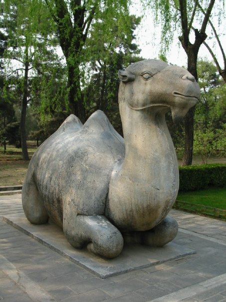 10391723_1281009390413_2439126_n