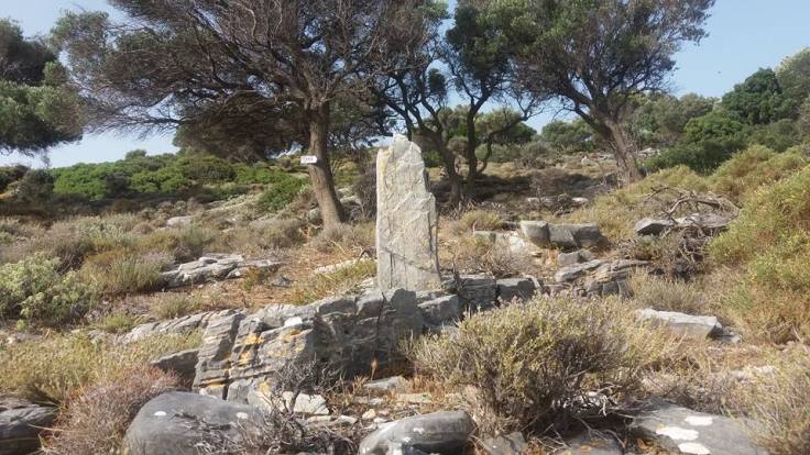 13418881_10209879091558230_3061467549733446749_n