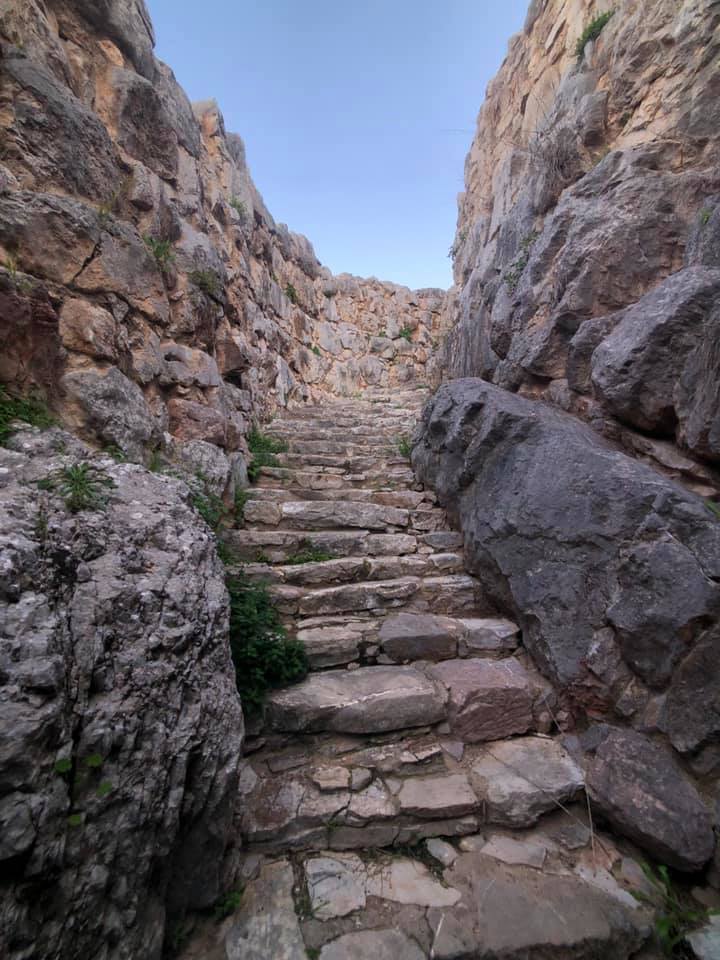 48986974_10218683362500292_8649073886484234240_n