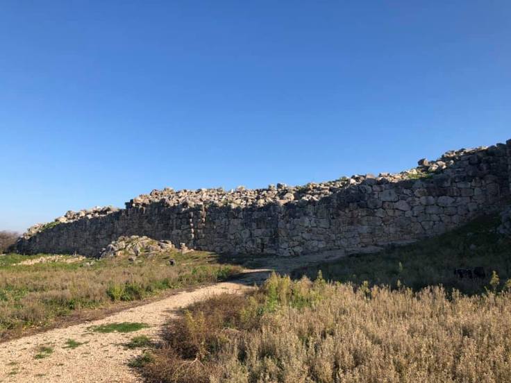 49001866_10218683362980304_3885711377171480576_n