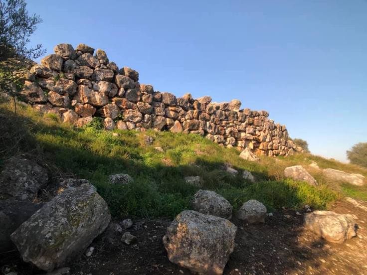 49121596_10218683359300212_6361770292582285312_n