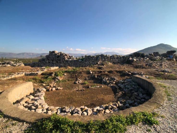 49205971_10218683363180309_7330373460364886016_n