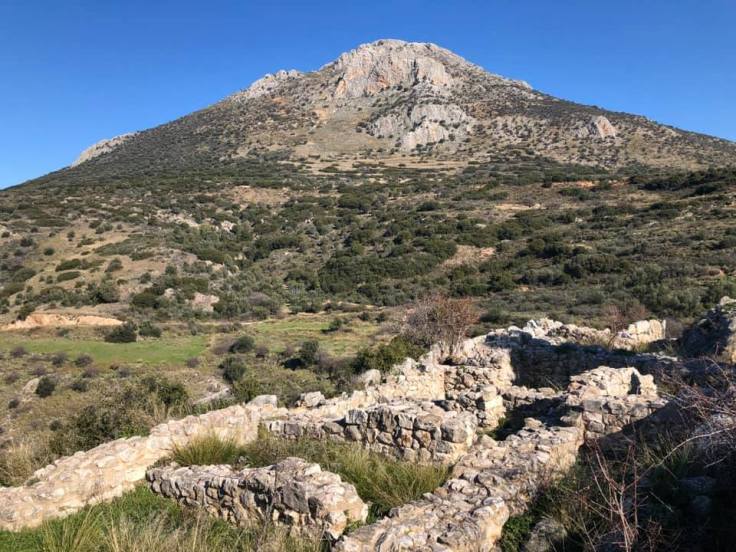 49351488_10218683356660146_1701042048351600640_n