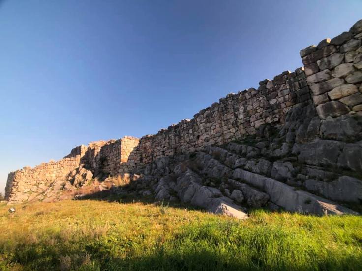 49574580_10218683362700297_6149488033579139072_n