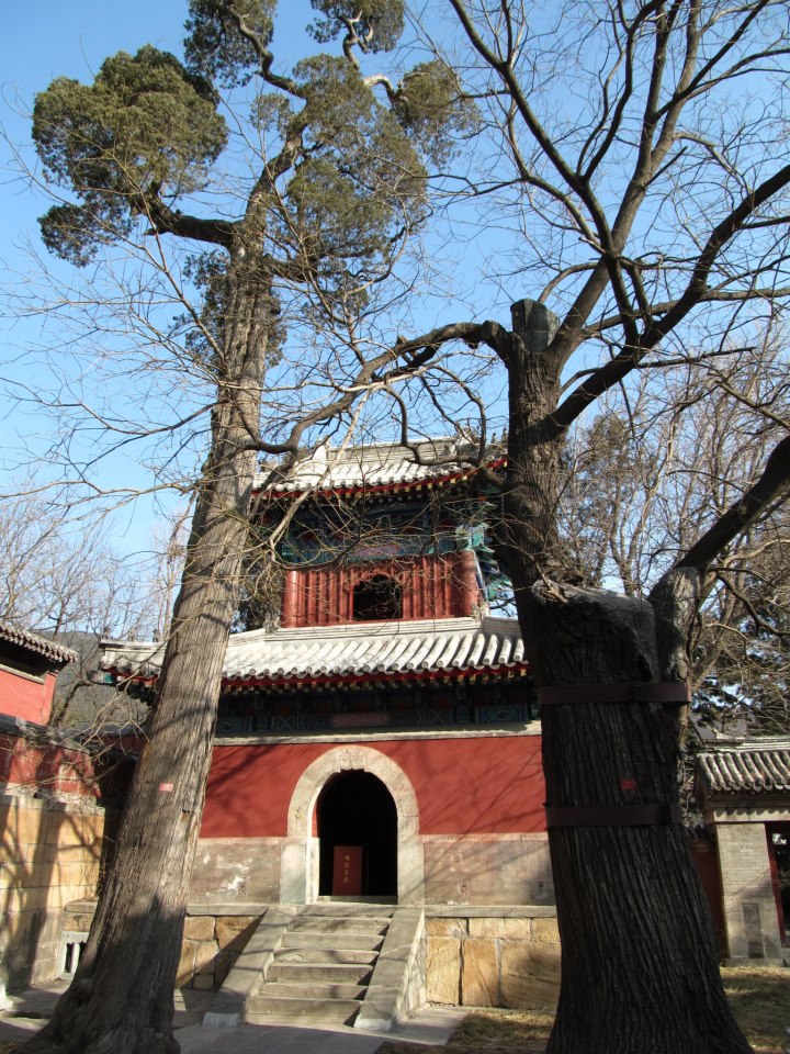 553016_10201044037728197_620398411_n