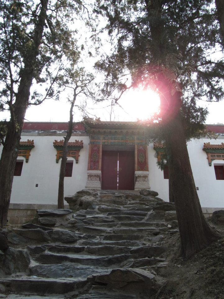 62797_10201044043888351_21934471_n