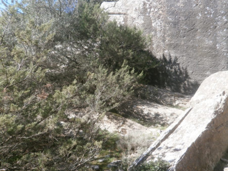 Karystos_latomeia_3-451x338