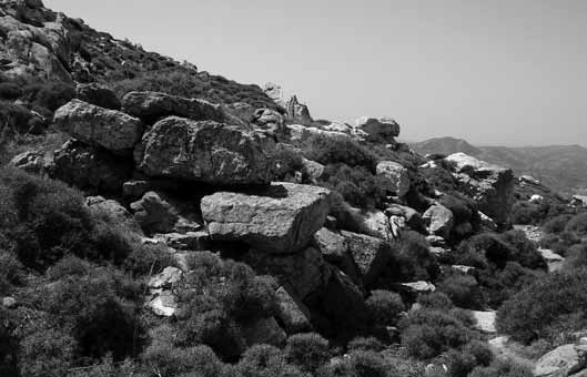 ΟΡΕΙΝΟΣ ΑΞΩΤΗΣ ΚΩΜΙΑΚΗ