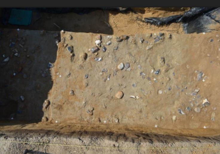 g018r9x0ungmmjstvliza