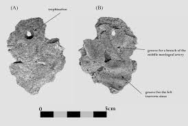 αρχείο λήψης