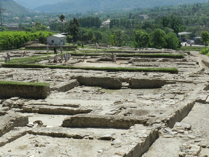 170335380-60ff4ec4-7326-4321-a7ed-f8660cde80e7