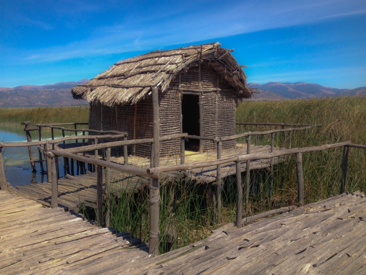 29243105_dispilio.new_