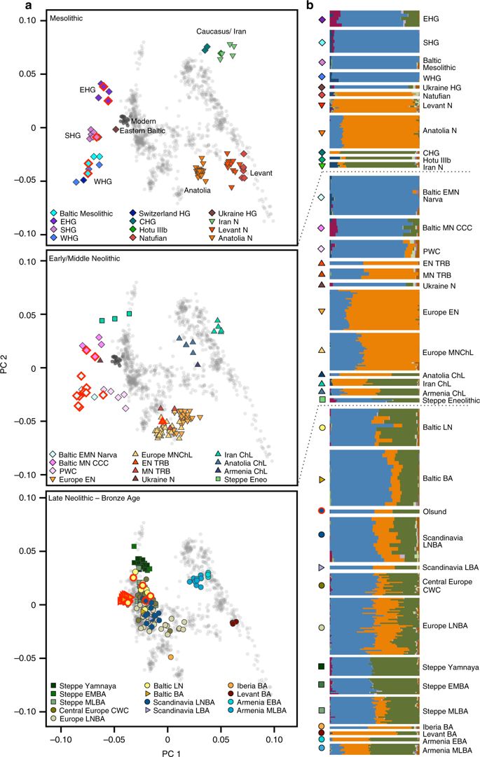 41467_2018_2825_Fig2_HTML