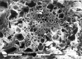 αρχείο λήψης (3)