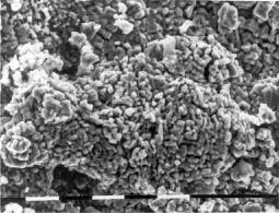 αρχείο λήψης