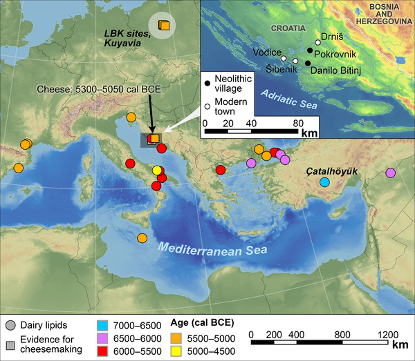 journal.pone.0202807.g001