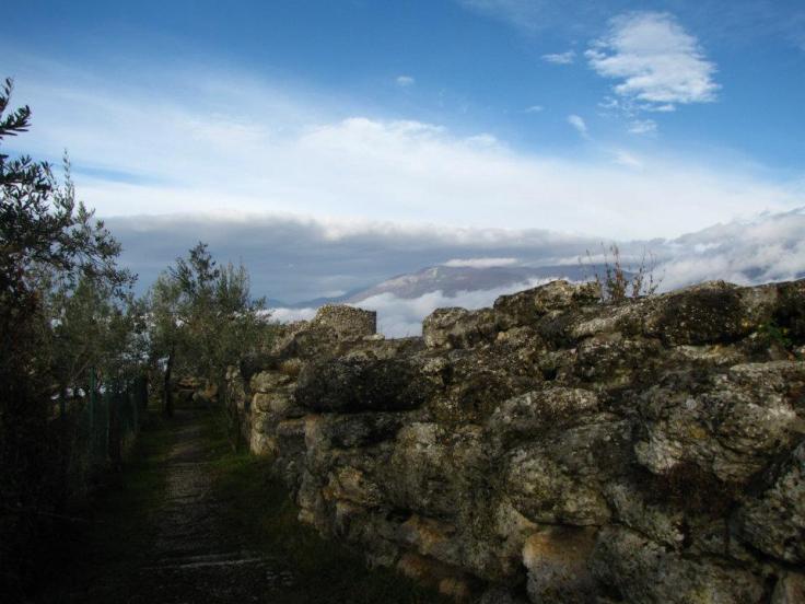 392358_2853605624336_1756977362_n