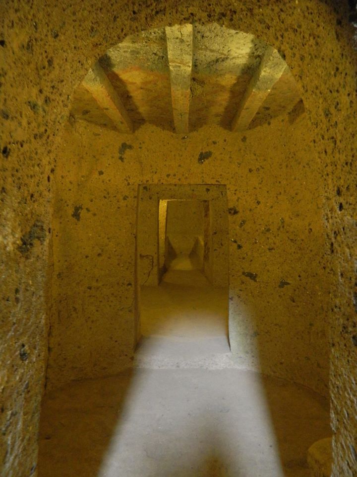 856146_10202511911184116_1740537989_o