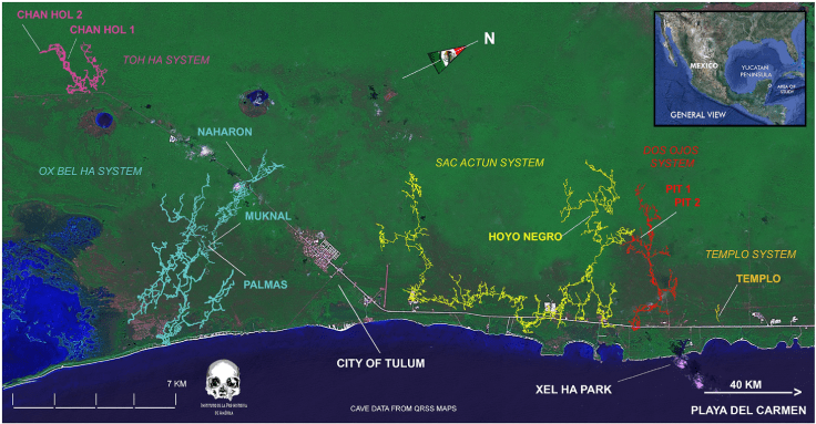 Coast of the Mexican State of Quintana Roo with location of cenotes and caves containing sites with human skeletons and associated Pleistocene fauna.