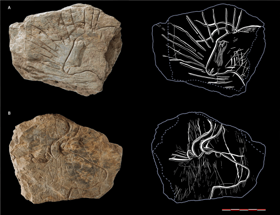 Fragment 317 with a bifacial ornamentation side A) head of aurochs surrounded by radiating lines; side B) head of aurochs