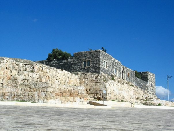 1916468_1271474992059_3198938_n