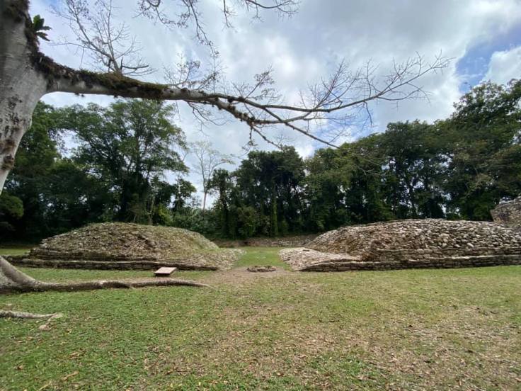 85003609_10222464892996191_1924928780707561472_n